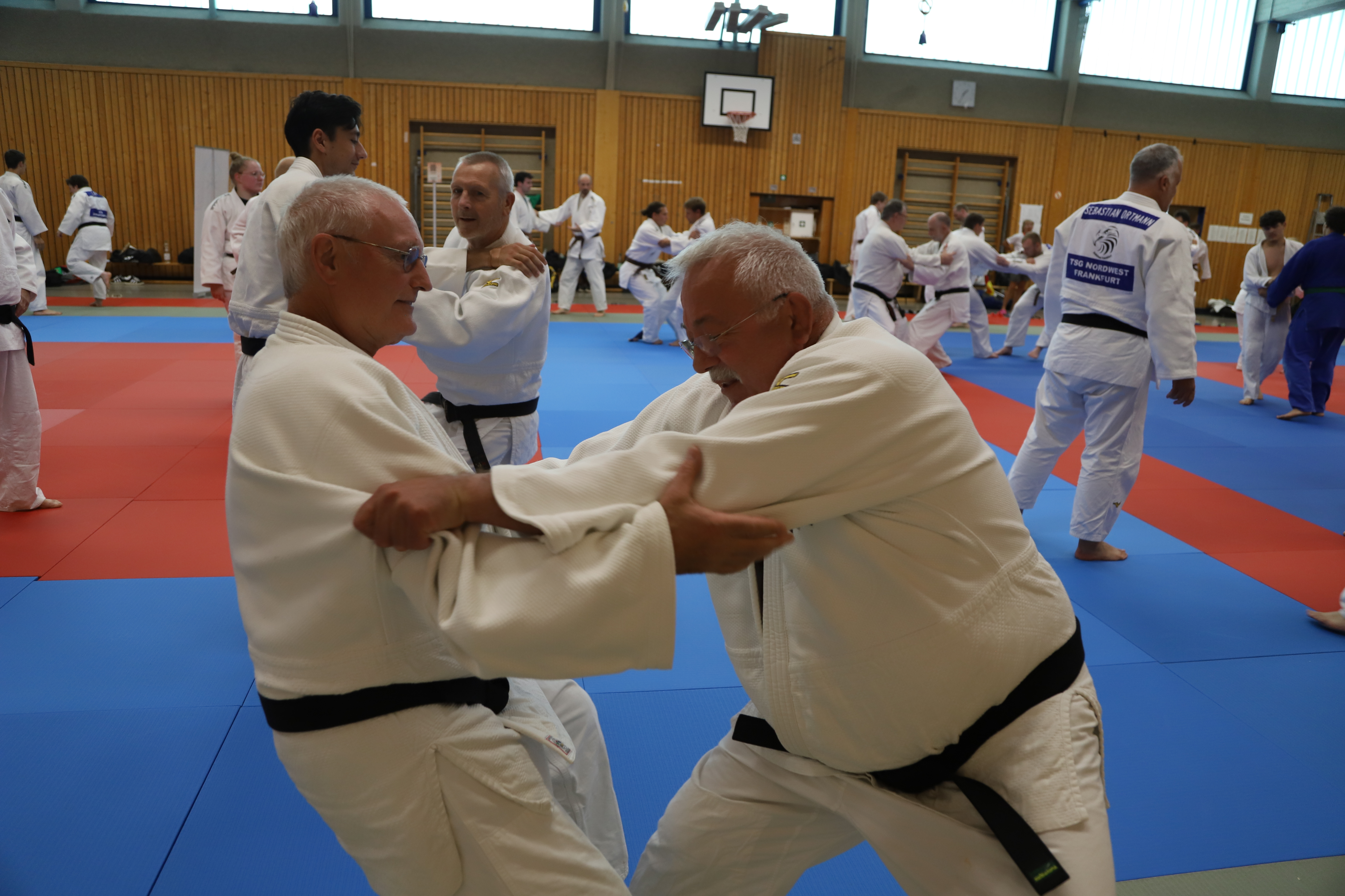 IMG 9848